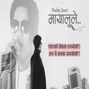 收聽Pradeep Lama的Mayalu Le歌詞歌曲