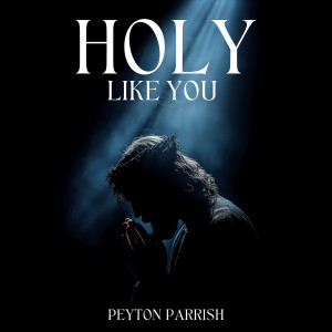Listen to Holy Like You song with lyrics from Peyton Parrish