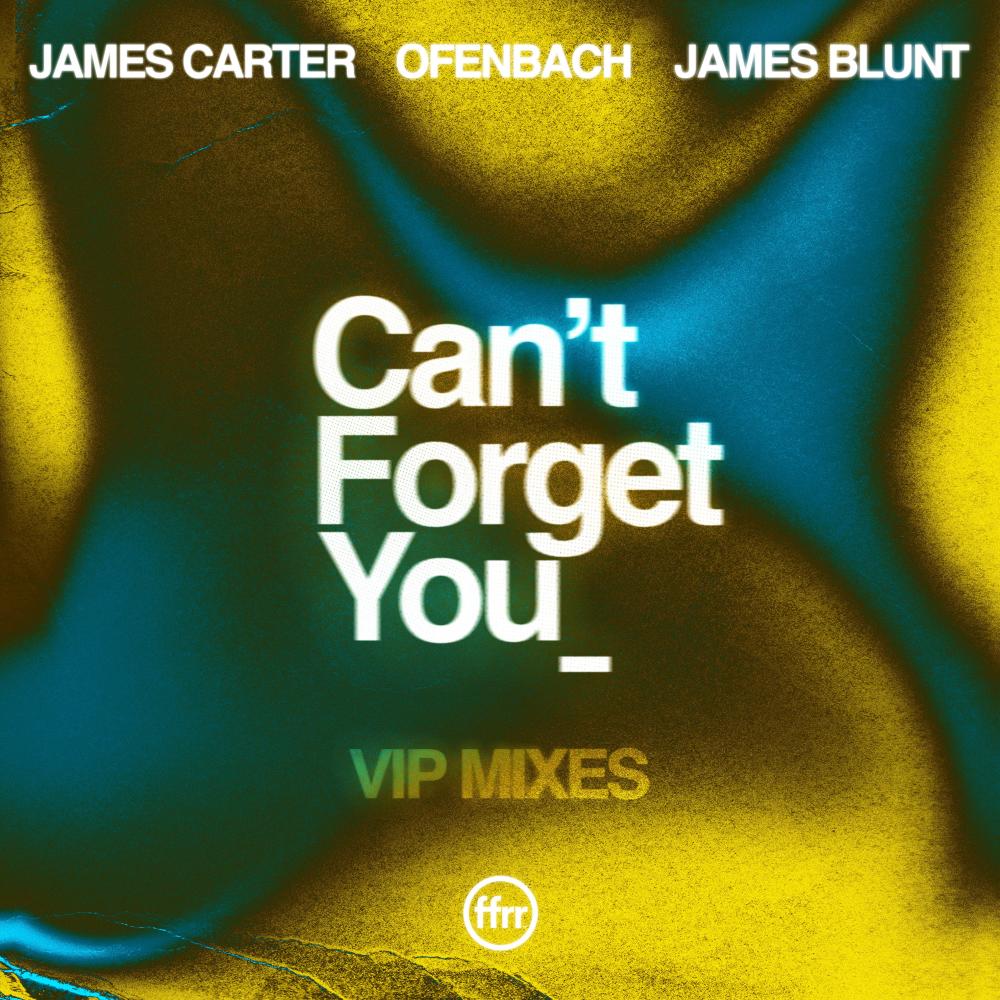 Can’t Forget You (feat. James Blunt) (VIP Mixes)