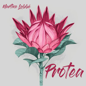 ดาวน์โหลดและฟังเพลง Queen Protea Magnifica พร้อมเนื้อเพลงจาก Martine Labbé