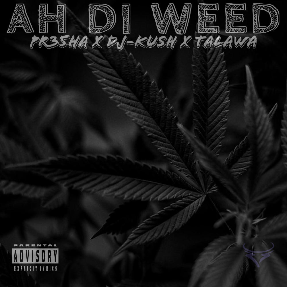 Ah Di **** (feat. Dj-Kush & Talawa|Explicit)