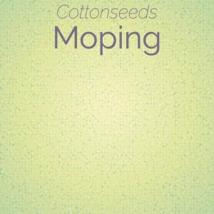 Various Artists的專輯Cottonseeds Moping