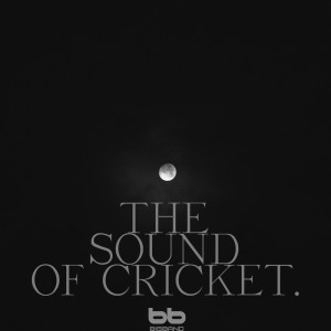 Dengarkan The Night Sound in the Deep Forest lagu dari Nature Sound Series dengan lirik