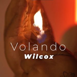 Wilcox的專輯Volando (Explicit)