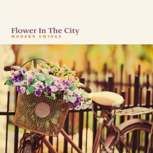 Album Flower In The City from Modern Swings