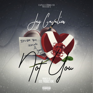 Dengarkan Not You (Explicit) lagu dari Jay Cavalier dengan lirik