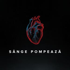 ดาวน์โหลดและฟังเพลง SANGE POMPEAZA (feat. MAJII) (Explicit) พร้อมเนื้อเพลงจาก Dizo