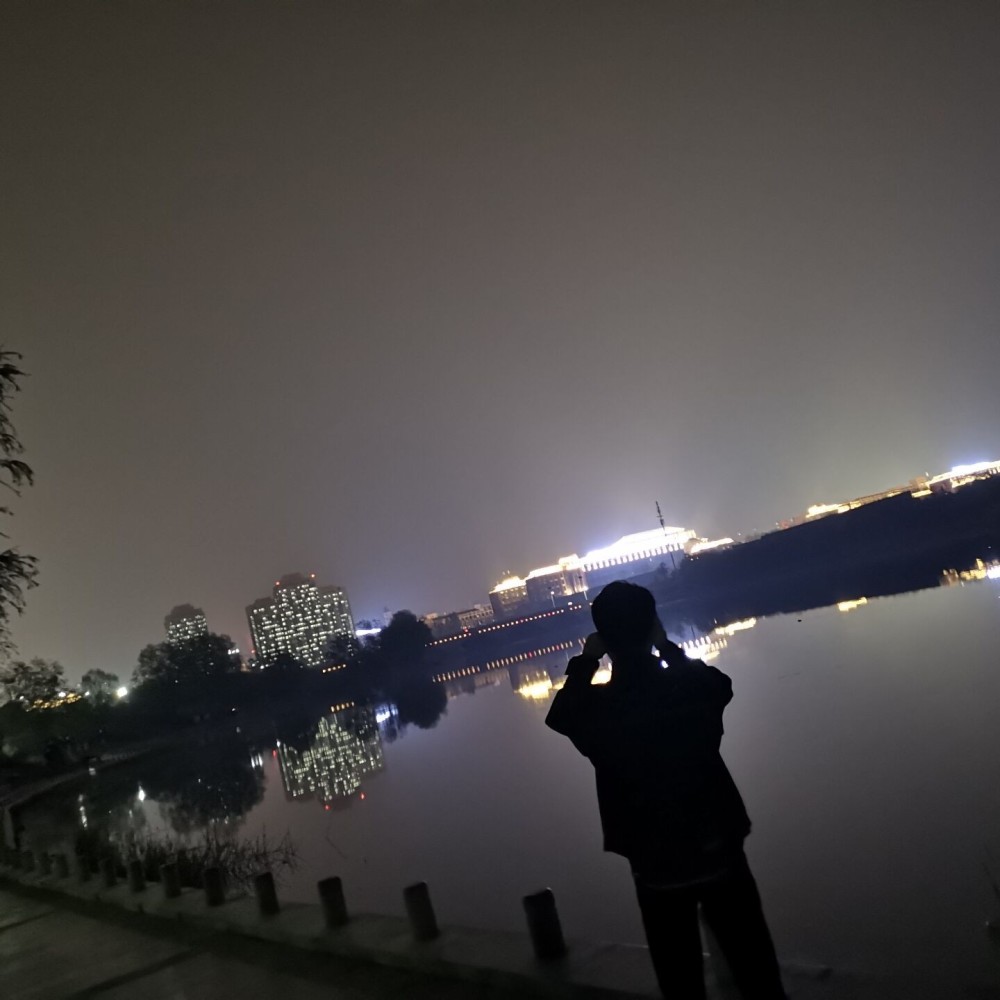 杨不破