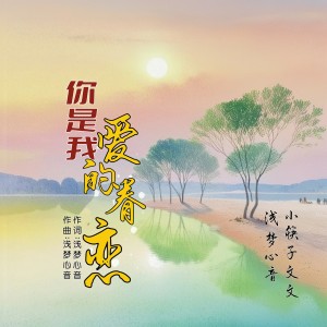 Album 你是我爱的眷恋(合唱抒情版) from 浅梦心音