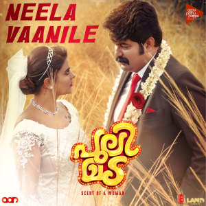Listen to Neela Vaanile (From "Pulimada") song with lyrics from Ishaan Dev