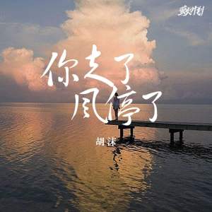 Album 你走了，风停了 oleh 胡沫