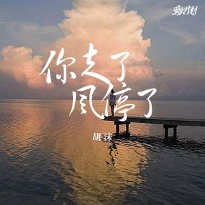 收聽胡沫的你走了，風停了歌詞歌曲