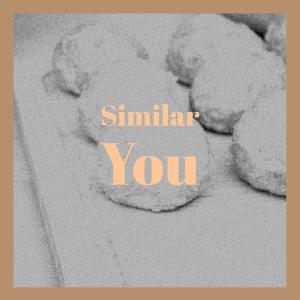 อัลบัม Similar You ศิลปิน Various Artists