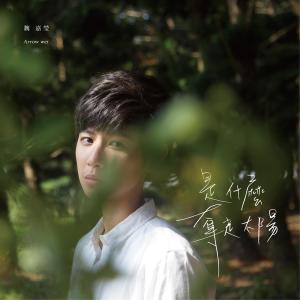 收聽魏嘉瑩的我想你知道歌詞歌曲