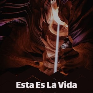 Various的专辑Esta Es La Vida (Explicit)