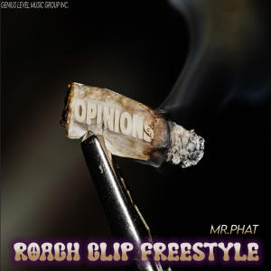 อัลบัม Da RoachClip Freestyle (Explicit) ศิลปิน Mr. Phat