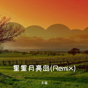 อัลบัม 星星月亮岛 (Remix) ศิลปิน 王萌