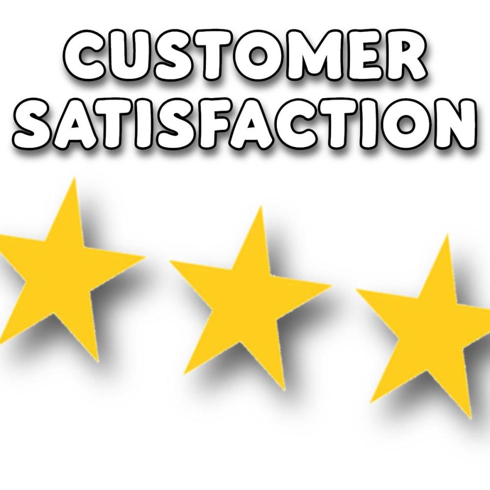 Customer Satisfaction (Instrumental)