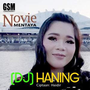 Album DJ-Haning from Novie Mentaya