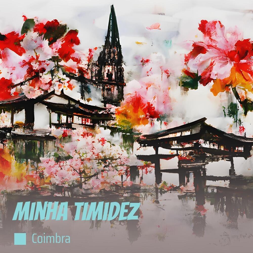 Minha Timidez