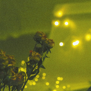 Album Music for sleeping (Relax) from Lowlife
