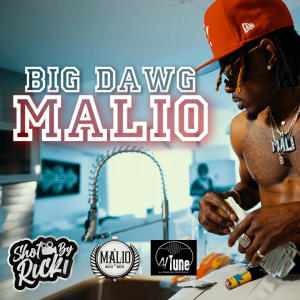 Album BIG DAWG (Explicit) oleh Malio