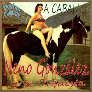 ดาวน์โหลดและฟังเพลง A Mí Qué พร้อมเนื้อเพลงจาก Neno Gonzalez Y Su Orquesta