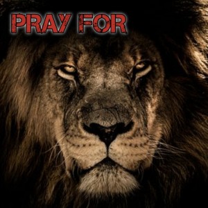 收聽Dloaded的Pray For (Explicit)歌詞歌曲