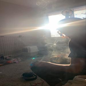 default playlist img