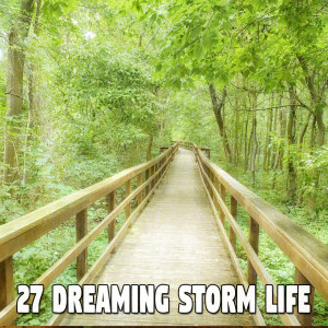 ดาวน์โหลดและฟังเพลง Storms Coming In พร้อมเนื้อเพลงจาก Rain Sounds