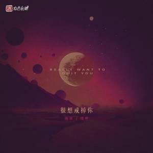 收聽善宇的很想戒掉你 (伴奏)歌詞歌曲