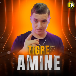 Listen to 3Omri Zawjouha song with lyrics from Cheb Amine Tigre
