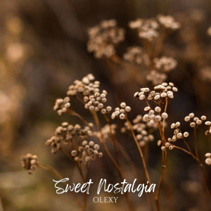 收聽Olexy的Sweet Nostalgia歌詞歌曲
