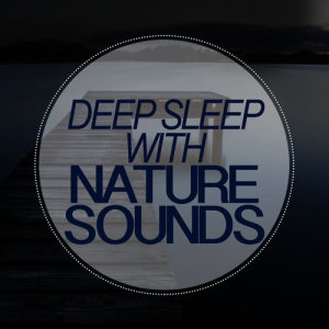 ดาวน์โหลดและฟังเพลง Water in Motion พร้อมเนื้อเพลงจาก Sleep Songs with Nature Sounds