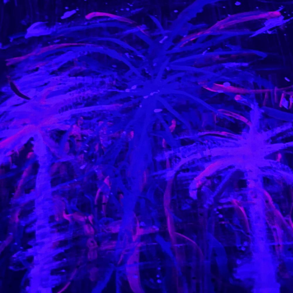 Big Sugar Crystals (feat. Past Project) (Explicit)