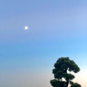 Dengarkan Susume lagu dari Juu dengan lirik