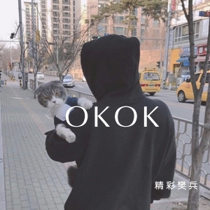 Album OKOK from 精彩樊兵