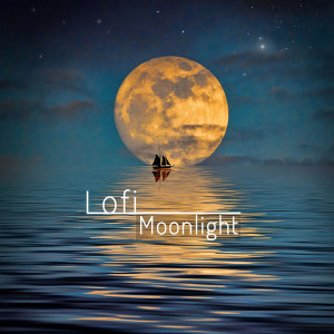 อัลบัม Lofi Moonlight ศิลปิน brworkstudio