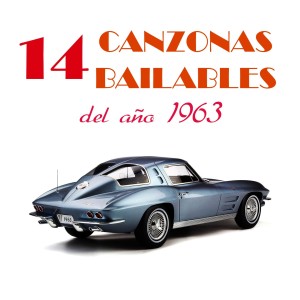 Album 14 Cañonazos Bailables Volumen 3 del Año 1963 (Cigarrón Colorao / La Ceiba/La Adivinanza / Noche Azul / Que Me Entierren Borracho / El Aguacato/Suena la Timba/La Culebra Cabezona/La Piojosa / Del Tingo al Tango/No Hay Nadie Como Tu) from Pedro Laza y sus Pelayeros