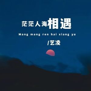收听小小杨玉莹的茫茫人海相遇 (伴奏)歌词歌曲