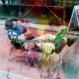 Classical Lullabies的专辑35 A Natural Perfect Rest