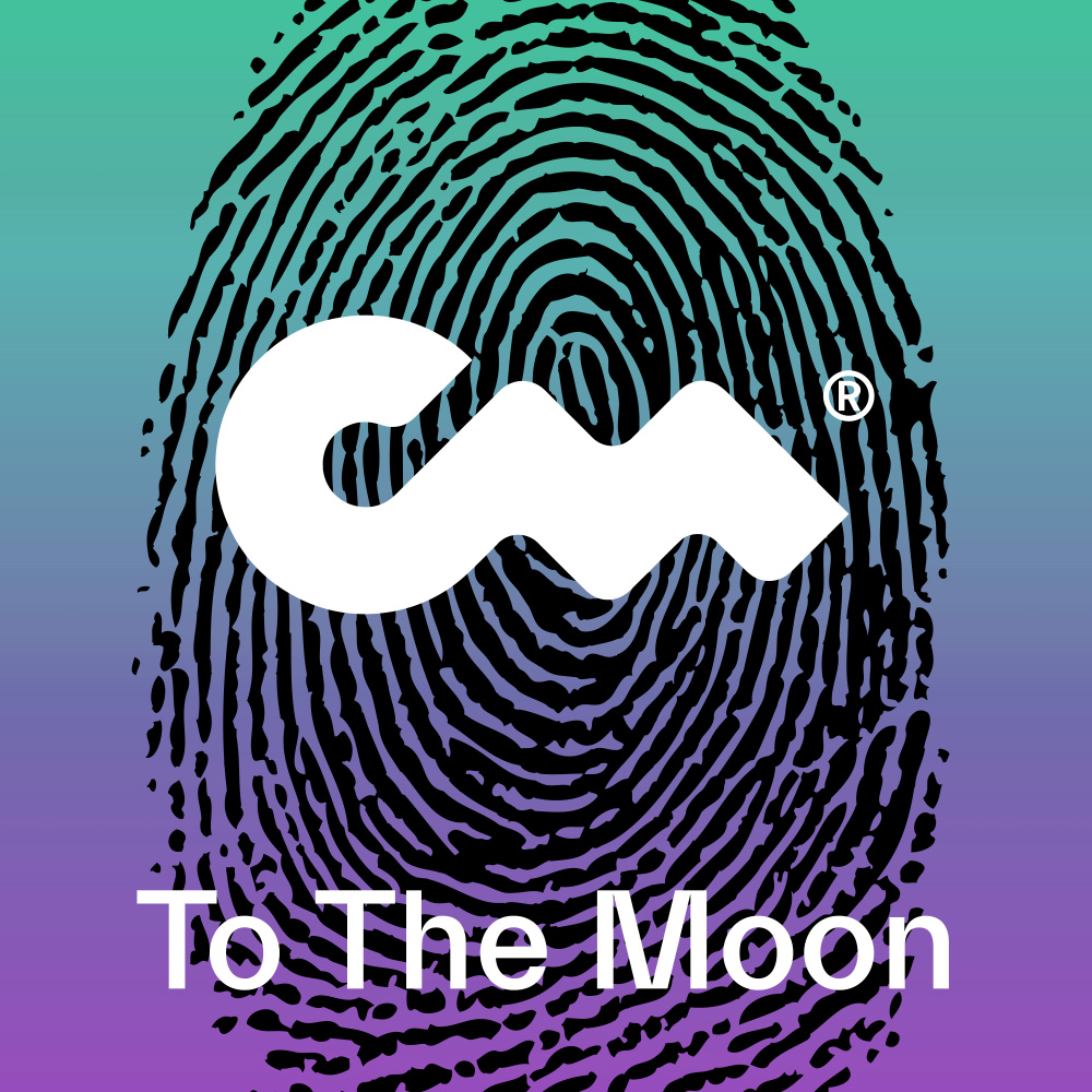 To The Moon