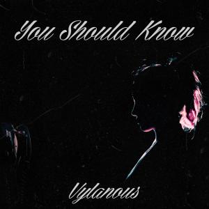 ดาวน์โหลดและฟังเพลง You Should Know (Explicit) พร้อมเนื้อเพลงจาก Vylanous