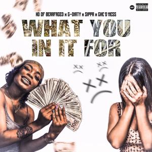 Sippa的專輯What You In It For (feat. G- Dirty, Sippa & Che D’ Ness) (Explicit)