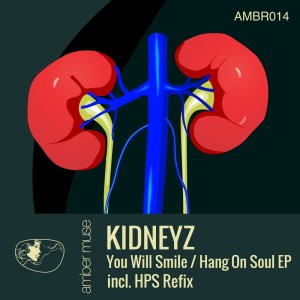 Listen to Hang on Soul (Slovar & Other Spectrum Remix) song with lyrics from Kidneyz