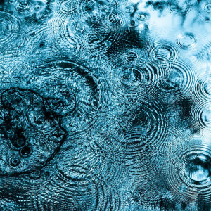 Listen to Rain Drop Splash song with lyrics from Nature Sounds Nature Music