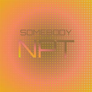 Various的专辑Somebody Npt