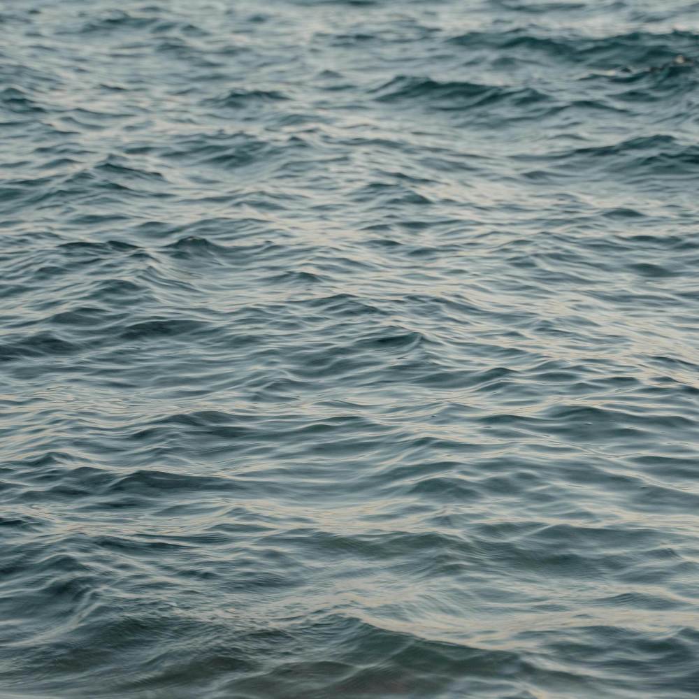 Refreshed (Explicit)