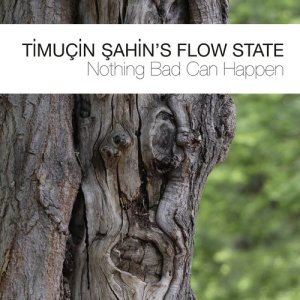 收聽Timuçin Şahin's Flow State的One Hundred Days in a Weekend歌詞歌曲