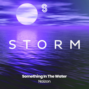 ดาวน์โหลดและฟังเพลง Something In The Water (Radio Edit) พร้อมเนื้อเพลงจาก Naizon